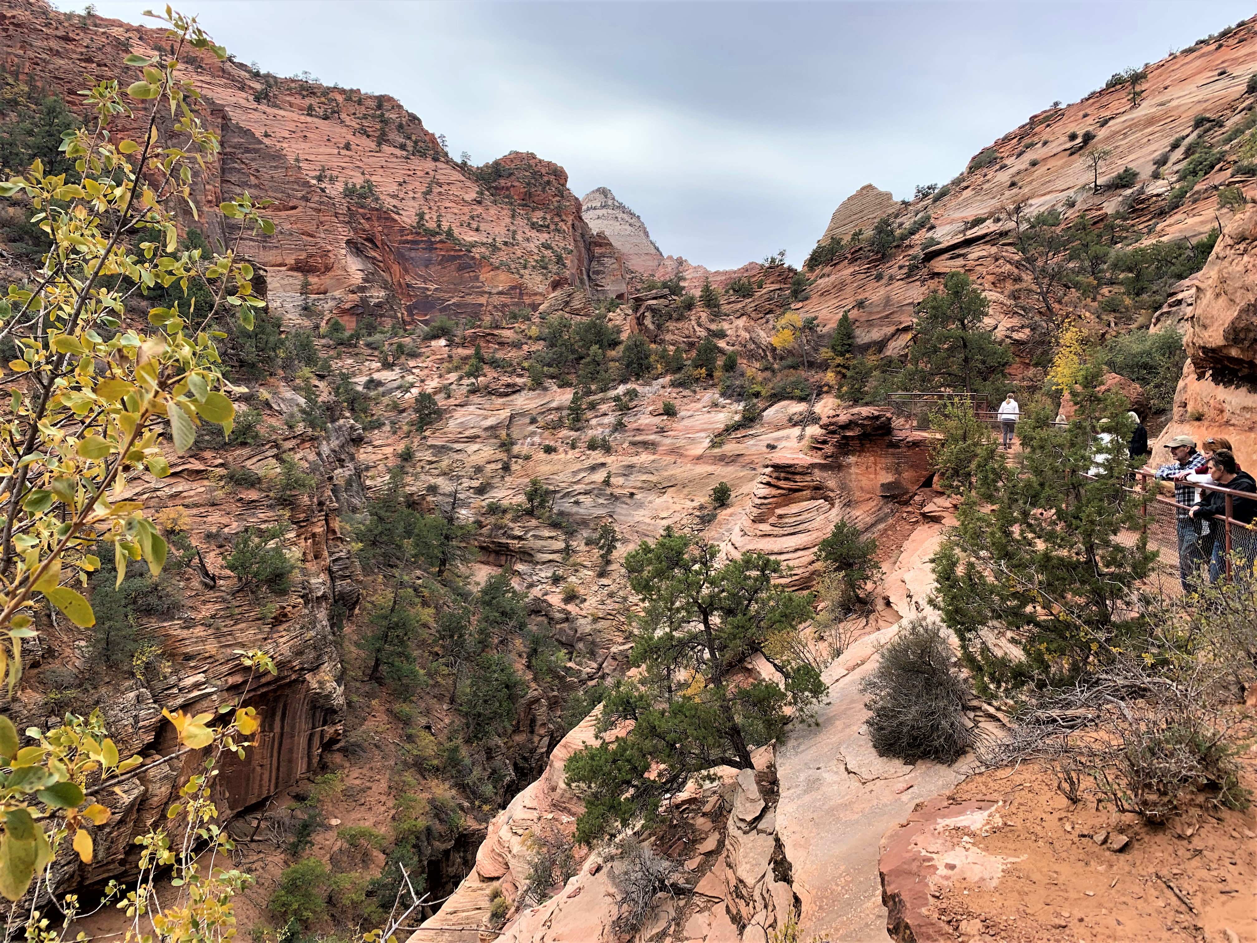 Zion NP